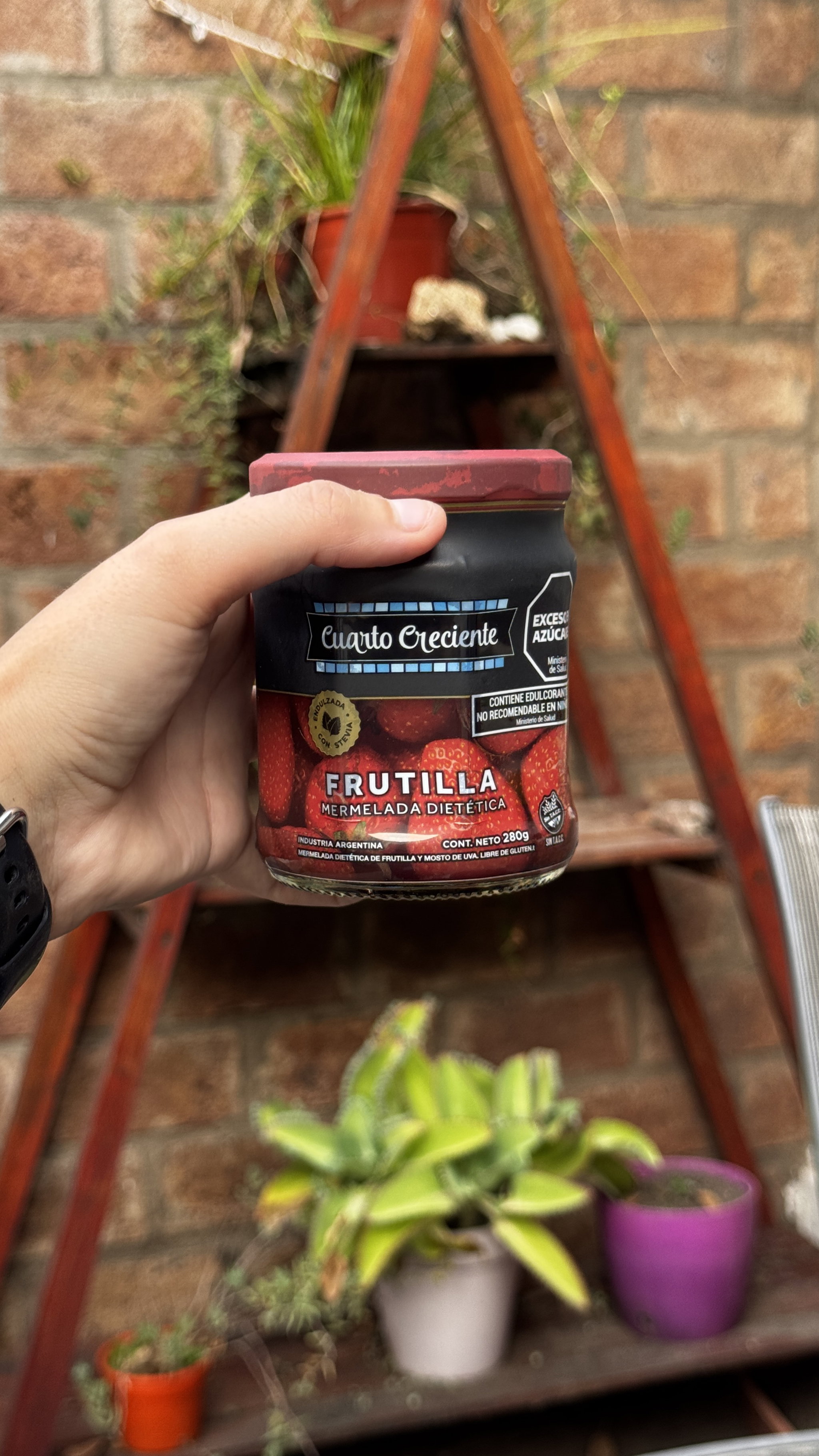 MERMELADA DIETETICA CUARTO CRECIENTE DE FRUTILLAS_0