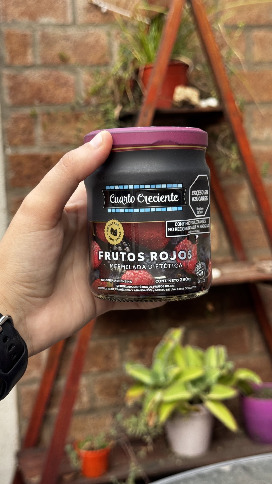 MERMELADA DIETETICA CUARTO CRECIENTE DE FRUTOS ROJOS