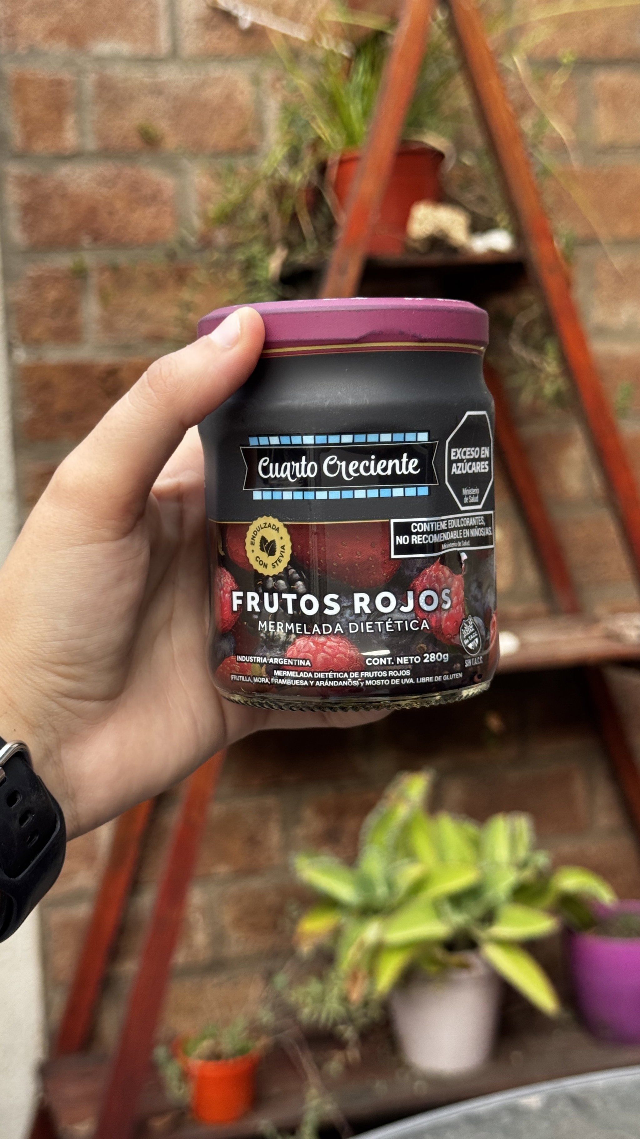 MERMELADA DIETETICA CUARTO CRECIENTE DE FRUTOS ROJOS_0
