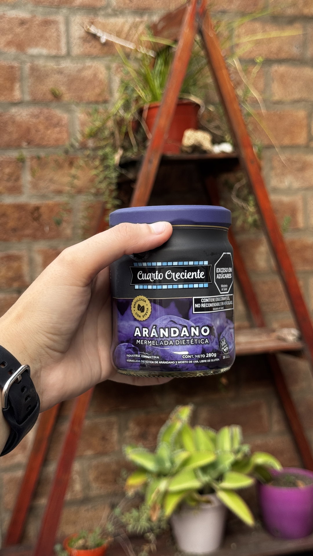 MERMELADA DIETETICA CUARTO CRECIENTE DE ARANDANOS