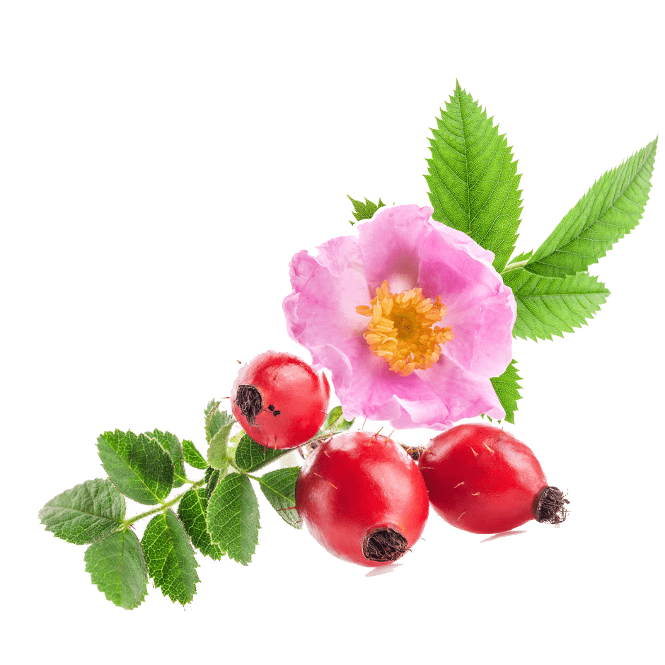 ROSA EA THABA