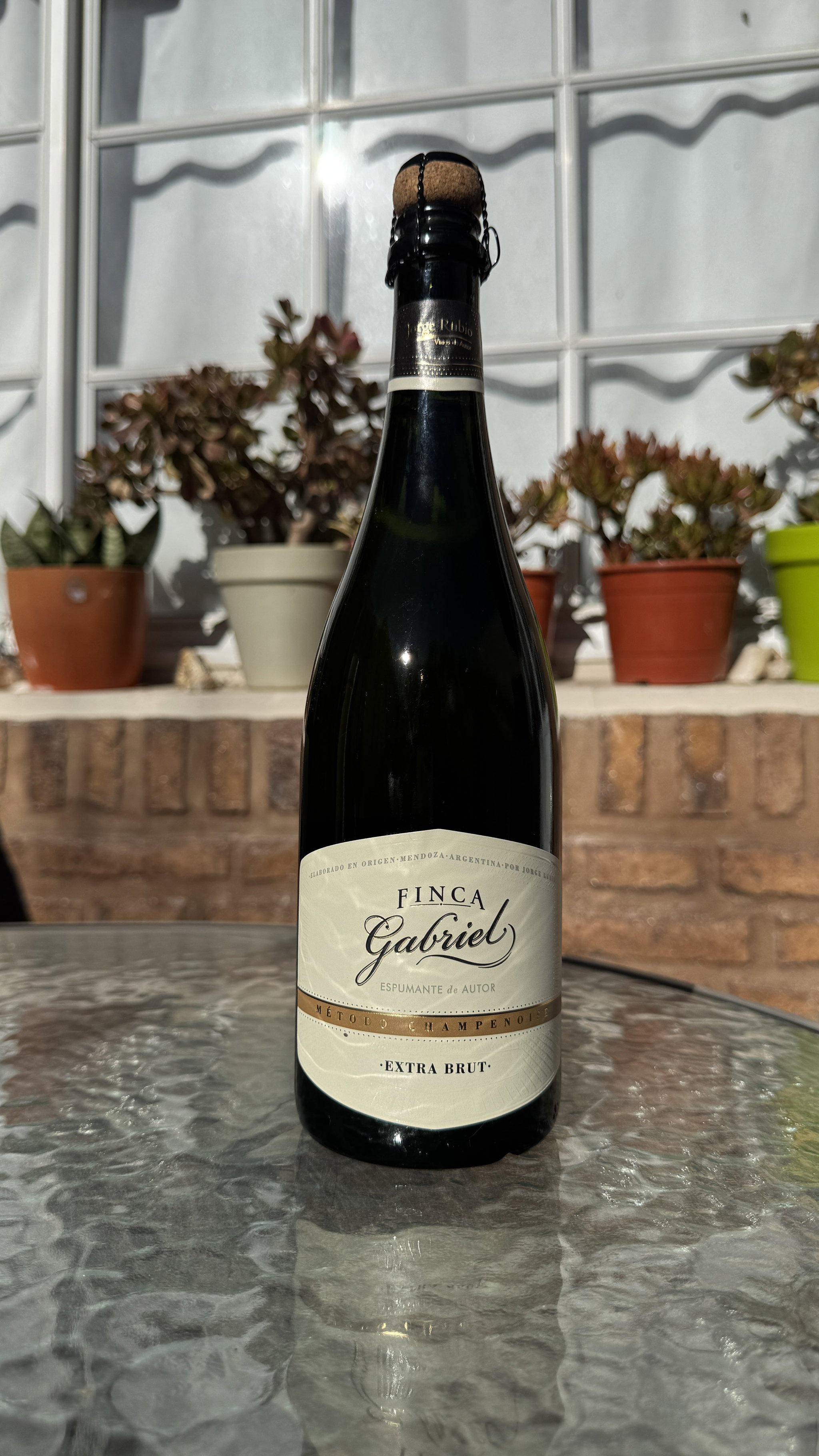 FINCA GABRIEL EXTRA BRUT_0