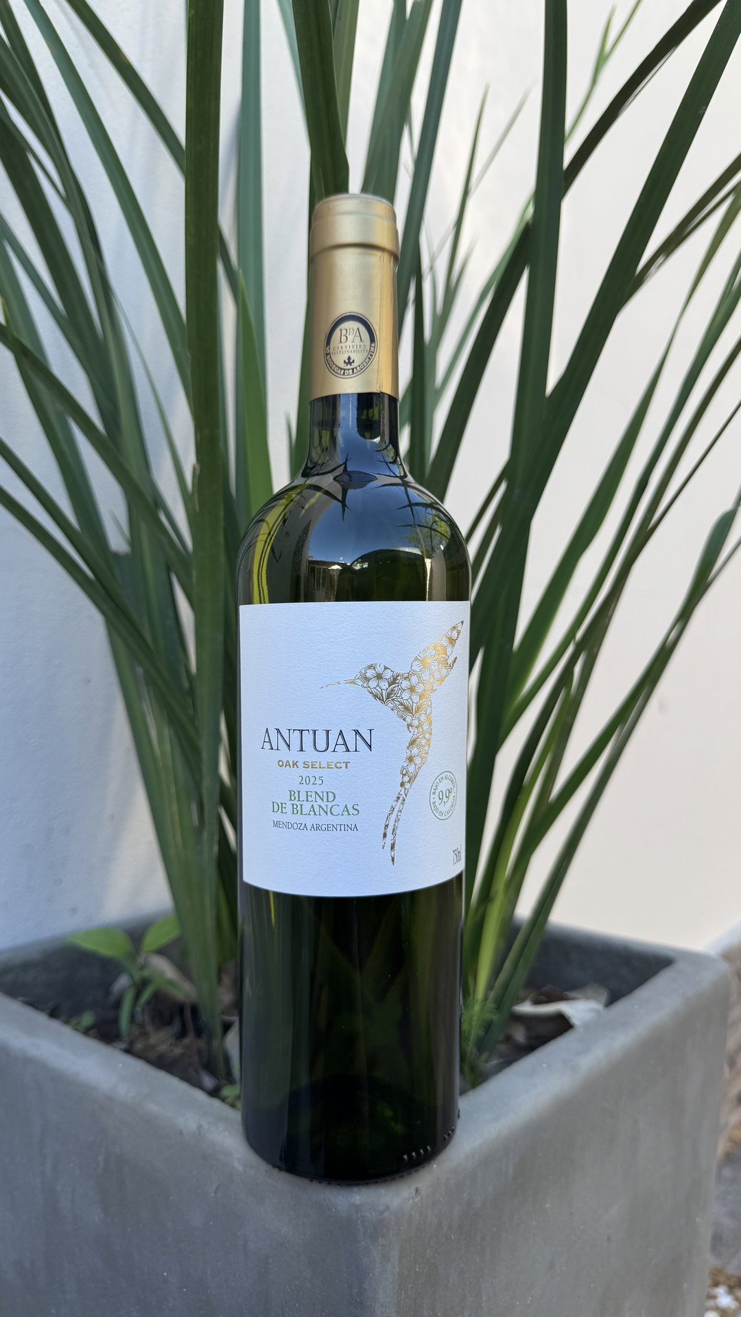CARBONERO ANTUAN OAK SELECT BLEND DE BLANCAS