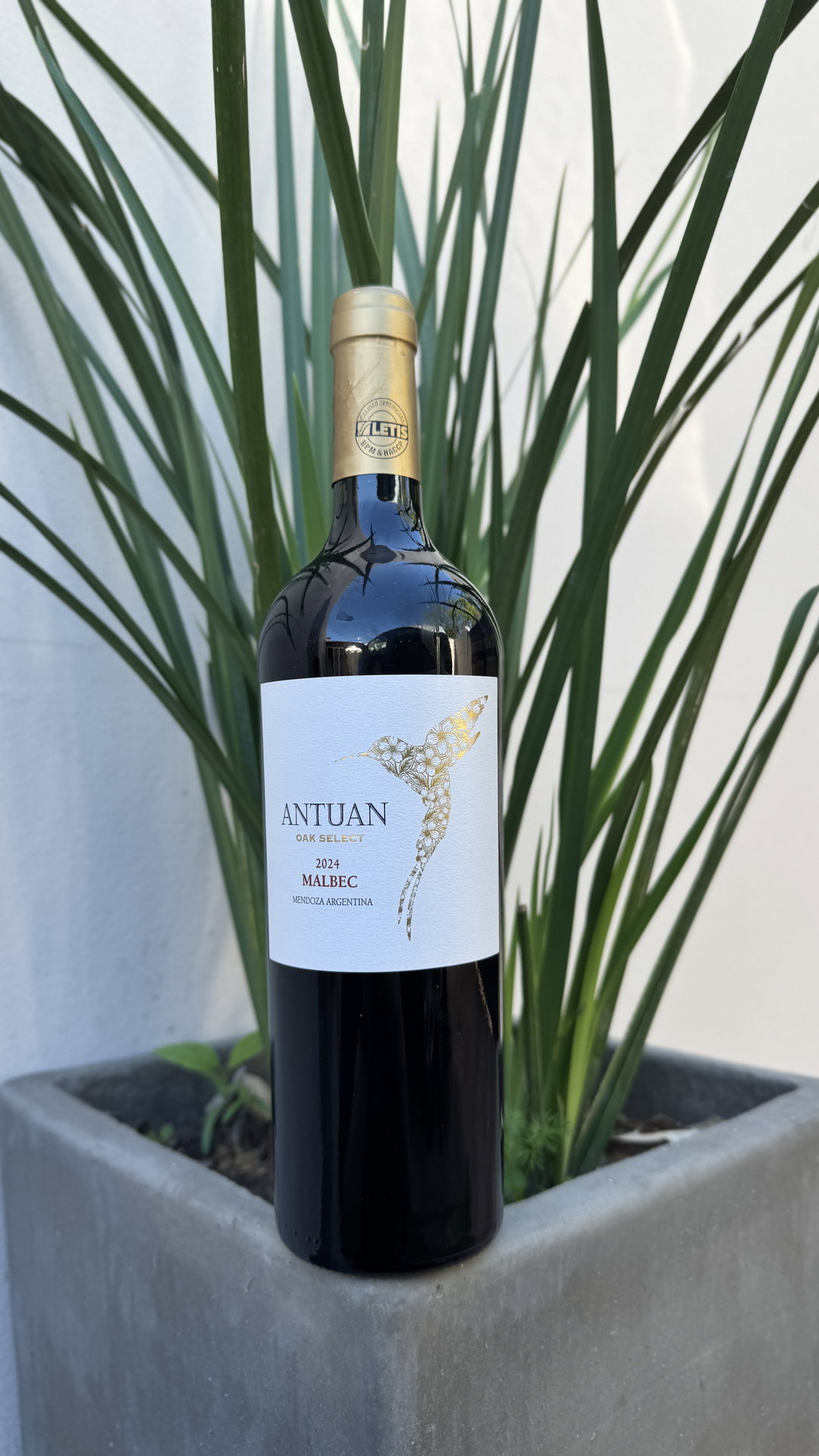 CARBONERO ANTUAN OAK SELECT MALBEC