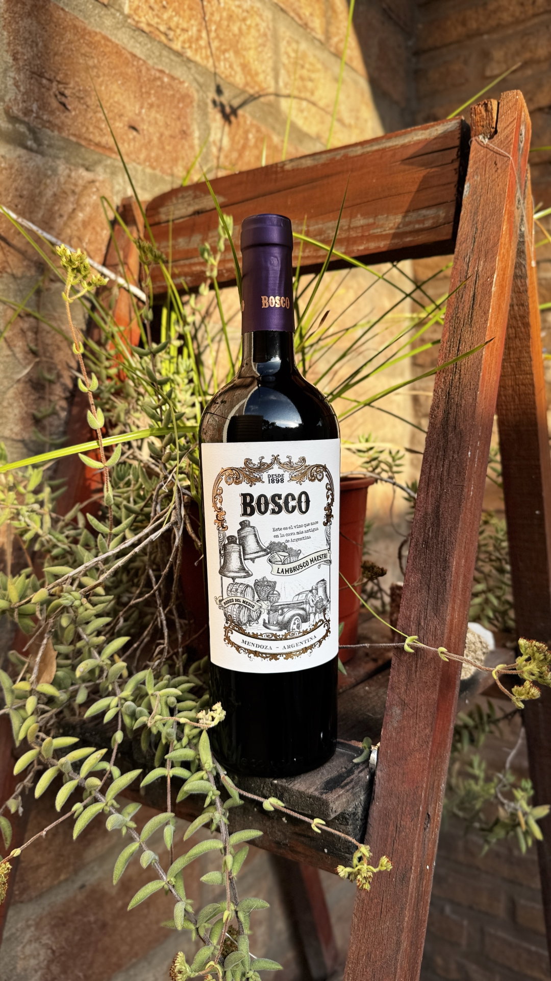 DON BOSCO LAMBRUSCO RESERVA