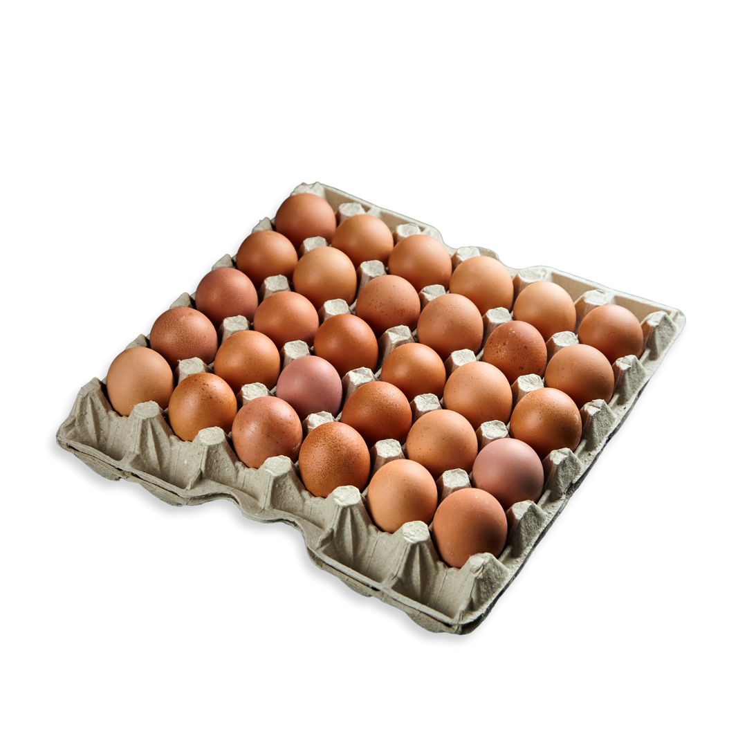 EGGS TRAY