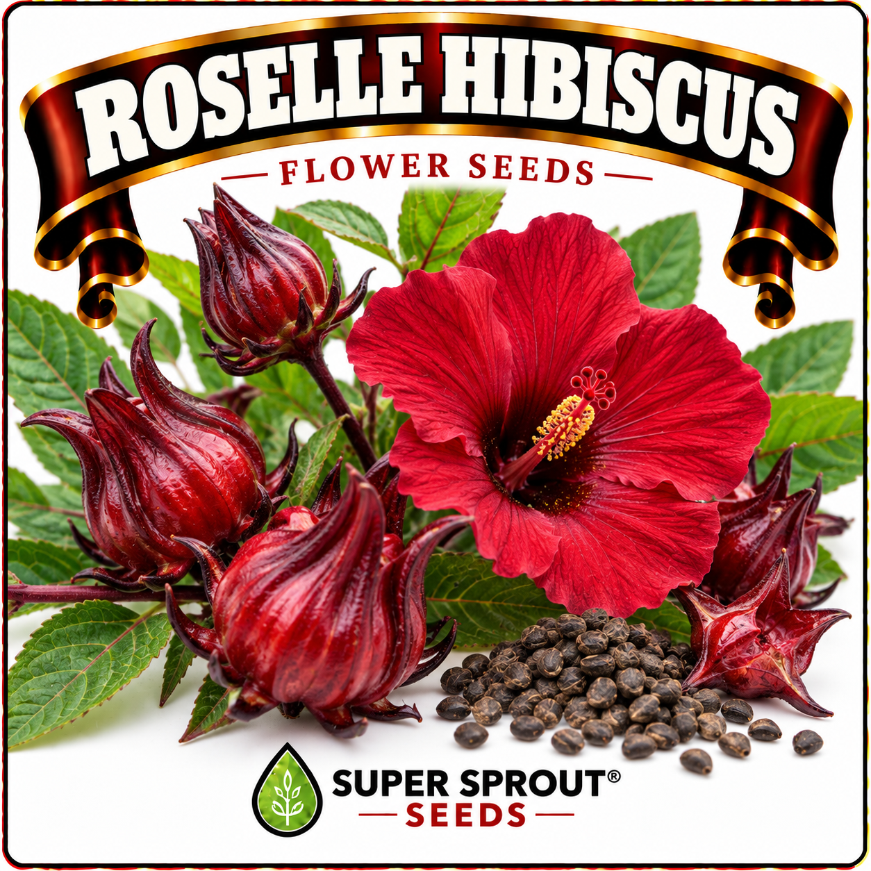Medicinal and wellness flower tea combo seeds x 6 packs_3