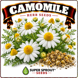 Medicinal and wellness flower tea combo seeds x 6 packs