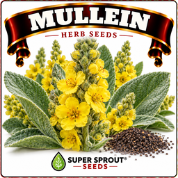 Medicinal and wellness flower tea combo seeds x 6 packs