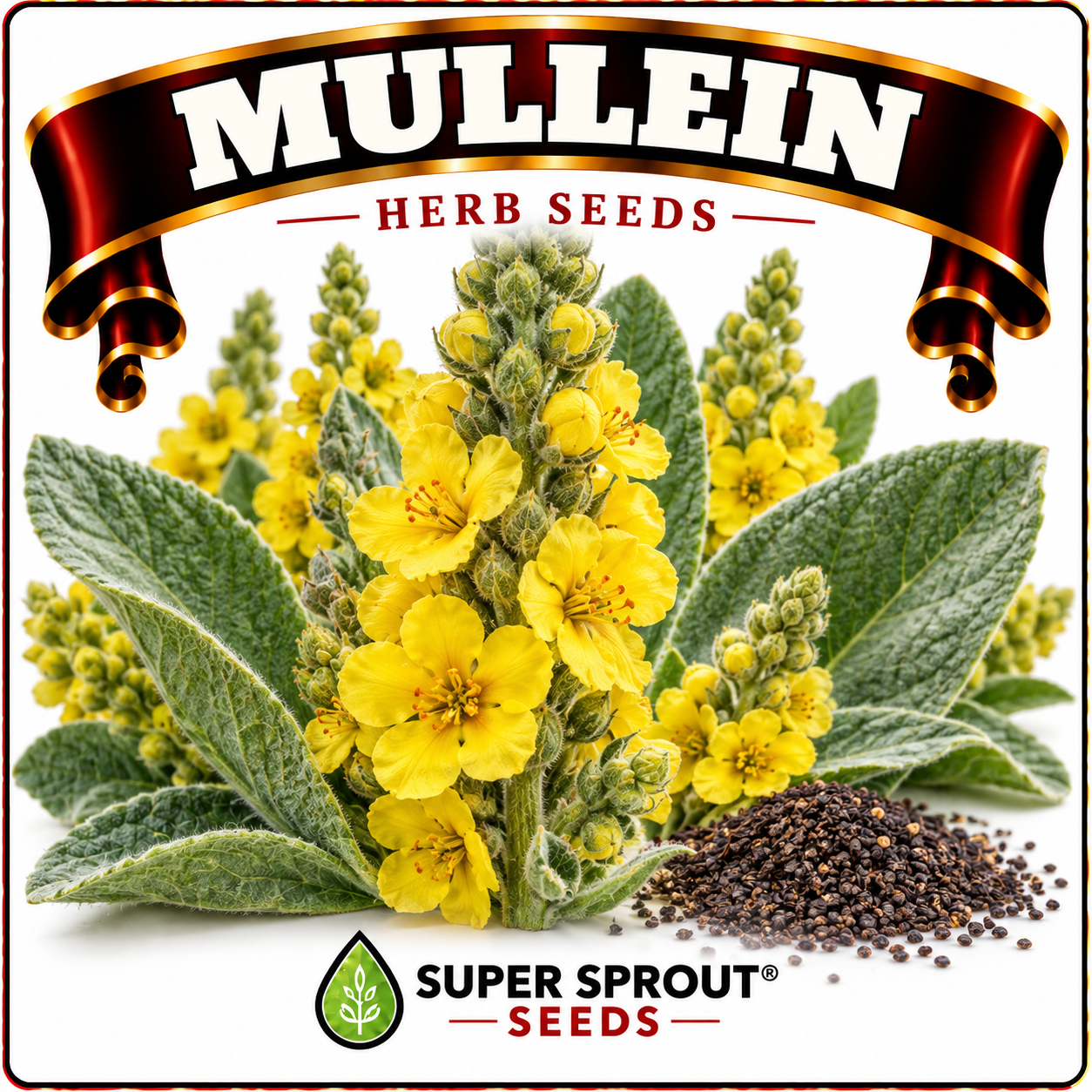 Medicinal and wellness flower tea combo seeds x 6 packs_5