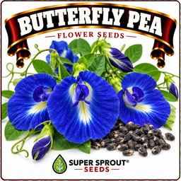 Medicinal and wellness flower tea combo seeds x 6 packs