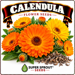 Medicinal and wellness flower tea combo seeds x 6 packs