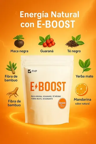 Eboost_0