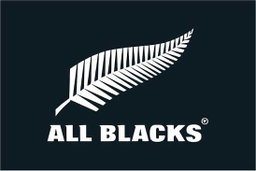 All Blacks Flag Outdoor