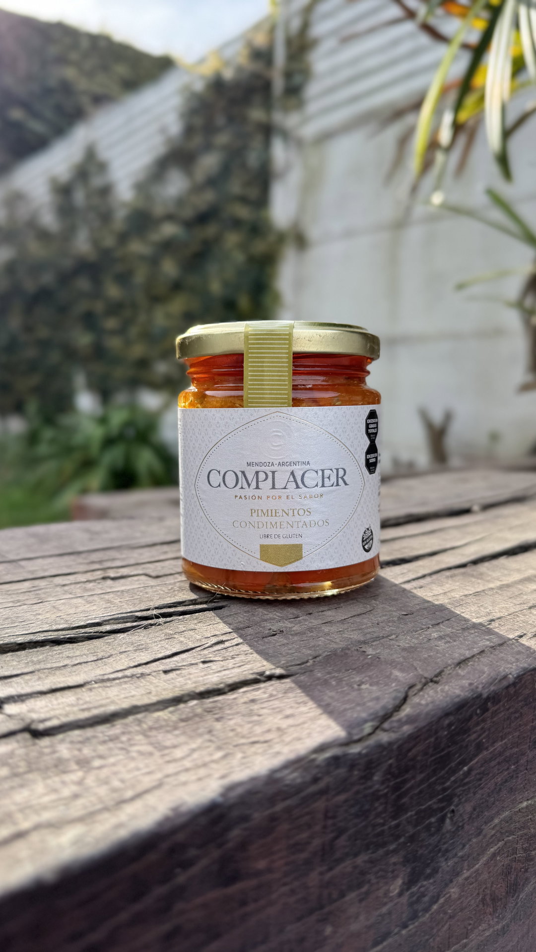 PIMIENTOS MORRONES CONDIMENTADOS
