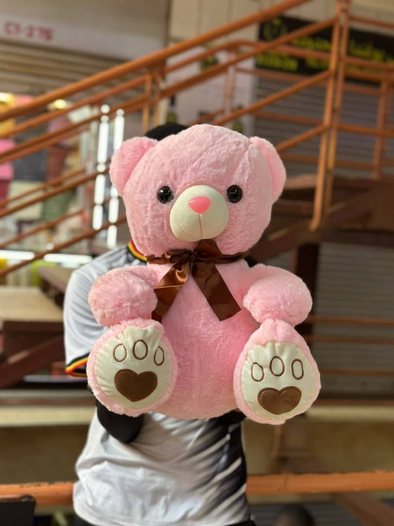 Light pink teddy bear 