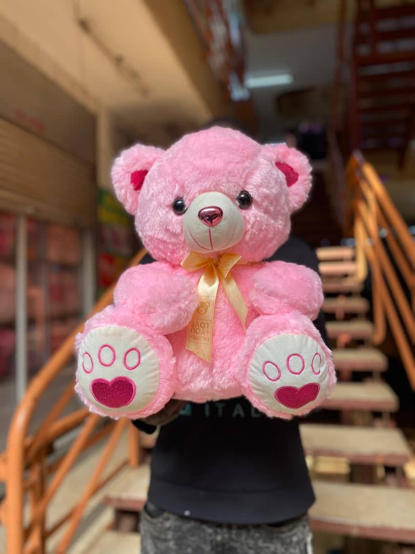 Hot pink teddy bear 