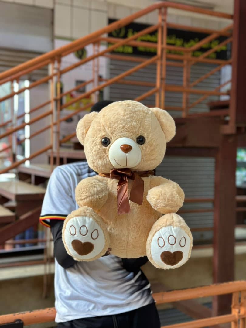 Brown teddy bear _0
