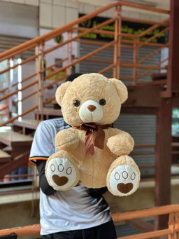 Brown teddy bear 