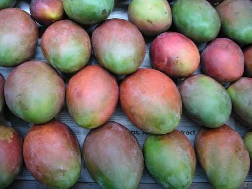 Mangoes /Maembe🥭_5