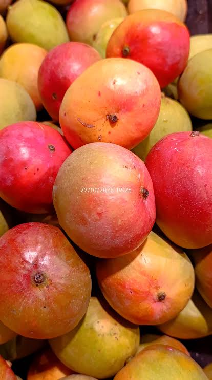 Mangoes /Maembe🥭_1