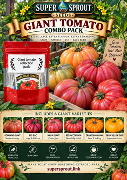 Giant tomato combo x 6 packs with 10 seeds each