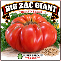 Giant tomato combo x 6 packs with 10 seeds each