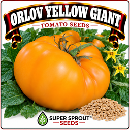 Giant tomato combo x 6 packs with 10 seeds each
