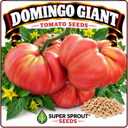 Giant tomato combo x 6 packs with 10 seeds each