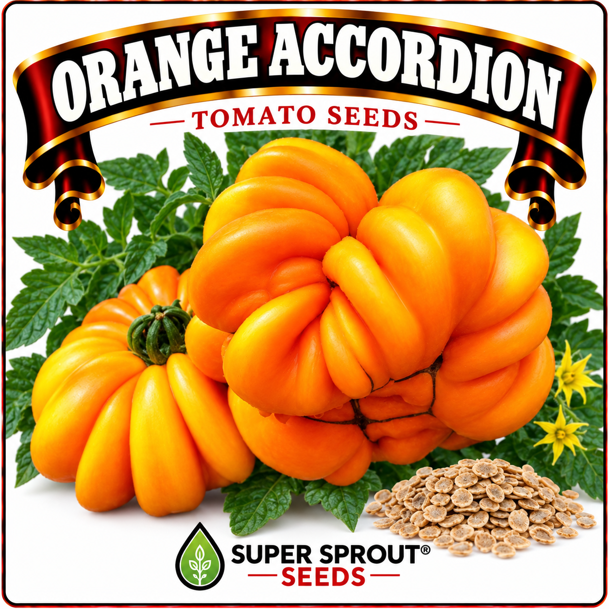 Giant tomato combo x 6 packs with 10 seeds each_6