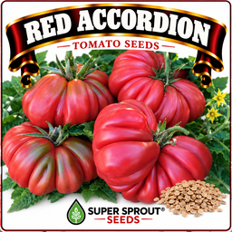 Giant tomato combo x 6 packs with 10 seeds each