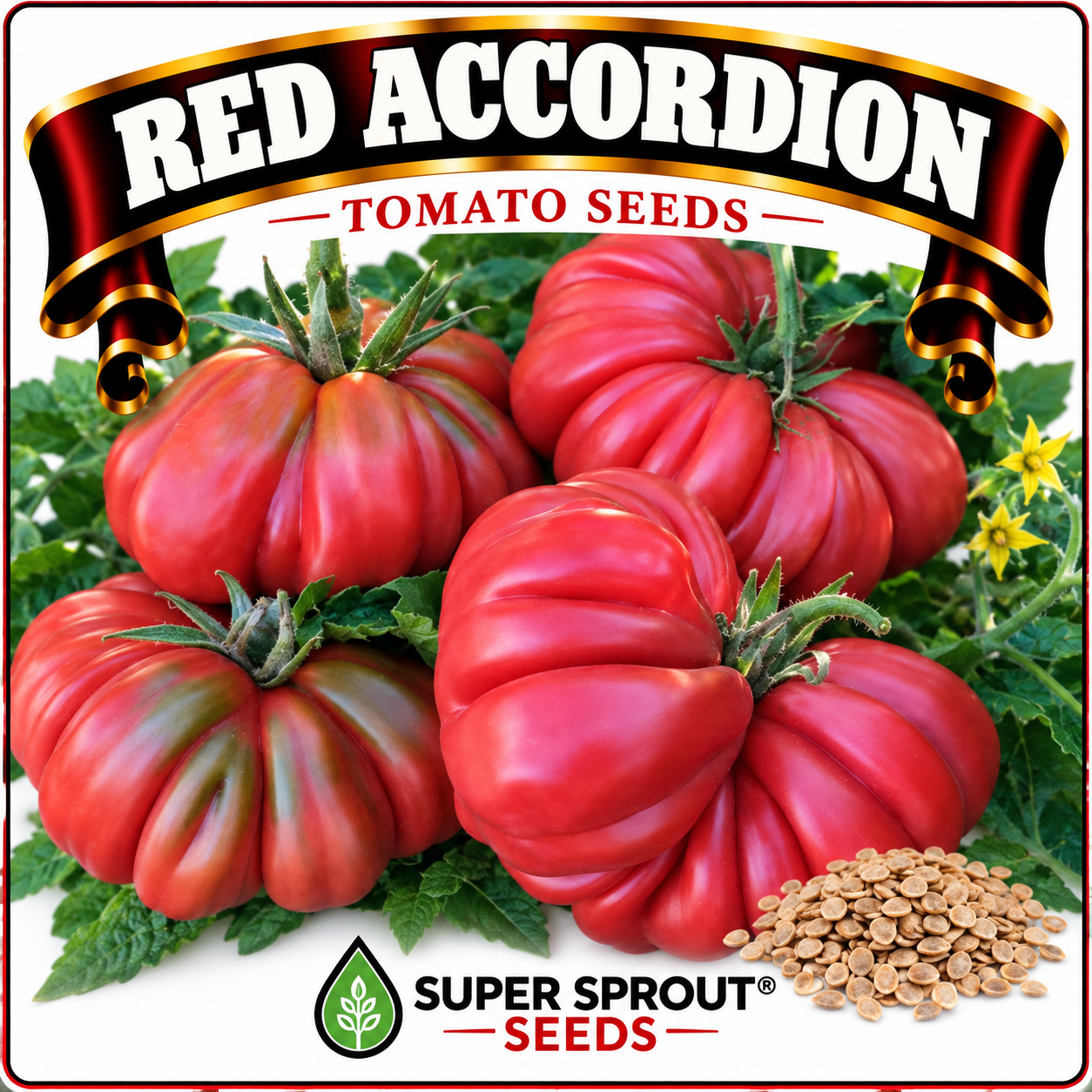 Giant tomato combo x 6 packs with 10 seeds each_5