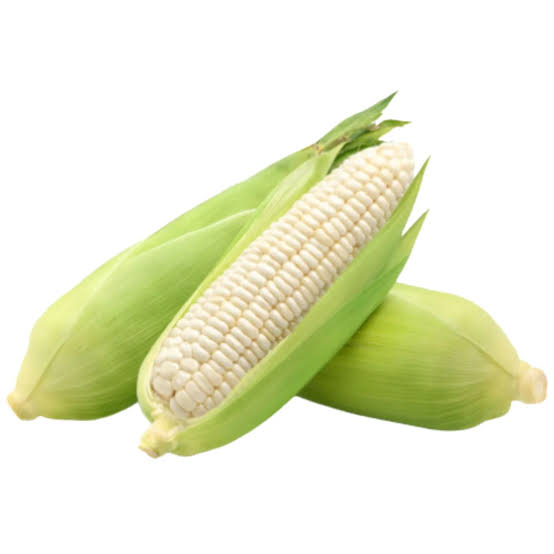 Green Maize🌽