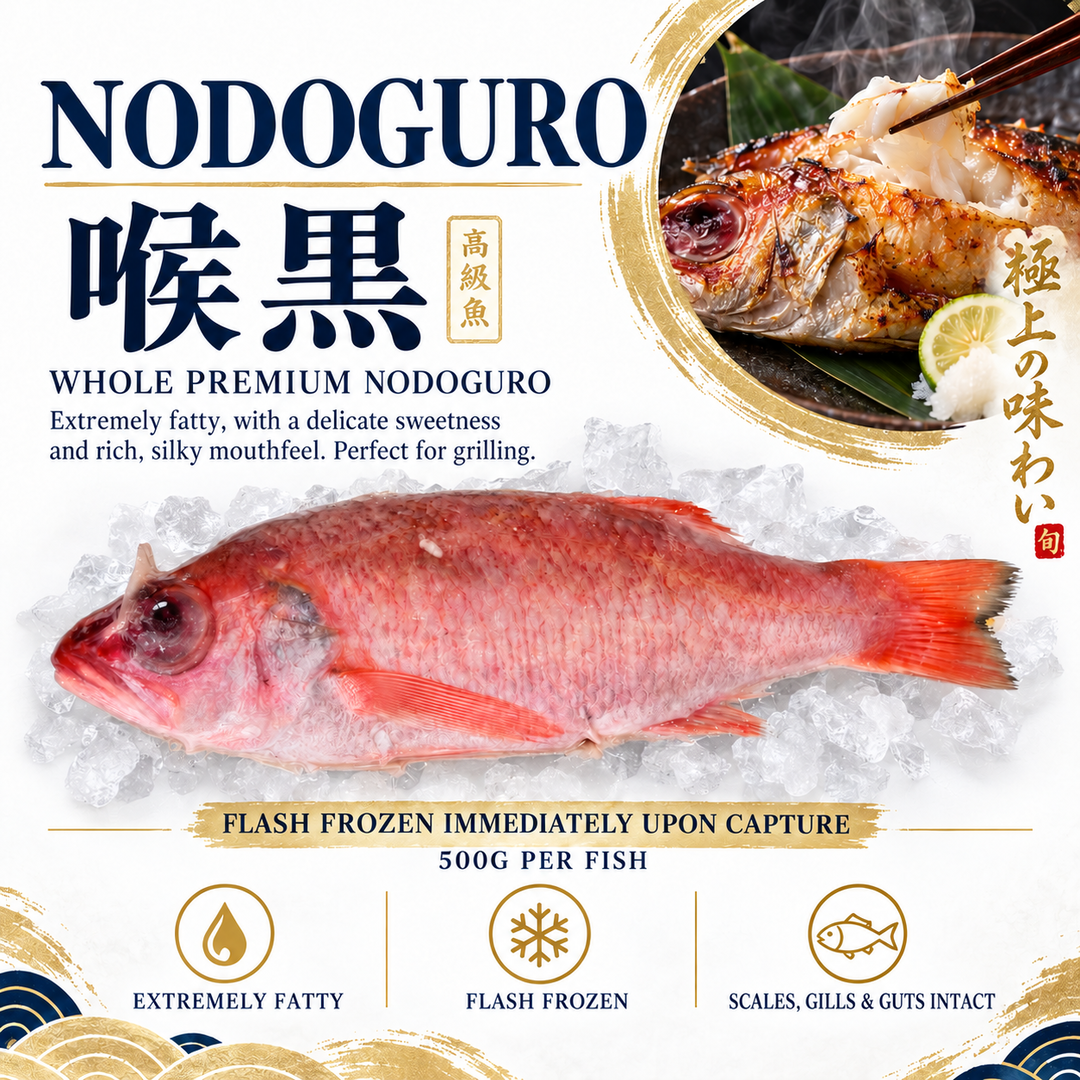 Nodoguro 喉黒 (500g)