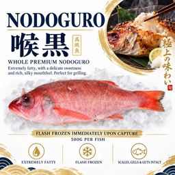 Nodoguro 喉黒 (500g)