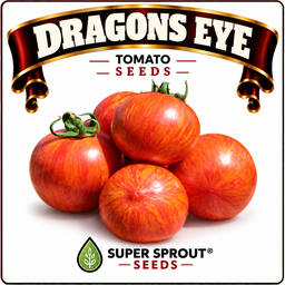 Dragons eye tomato x 15 seeds