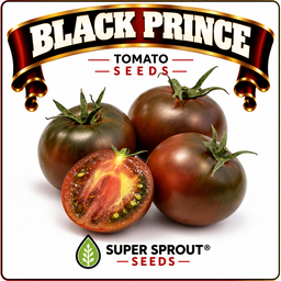 🍅BLACK PRINCE TOMATO🍅 x 15 seeds 