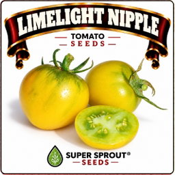 Springbok Tomato combo special x 9 packs