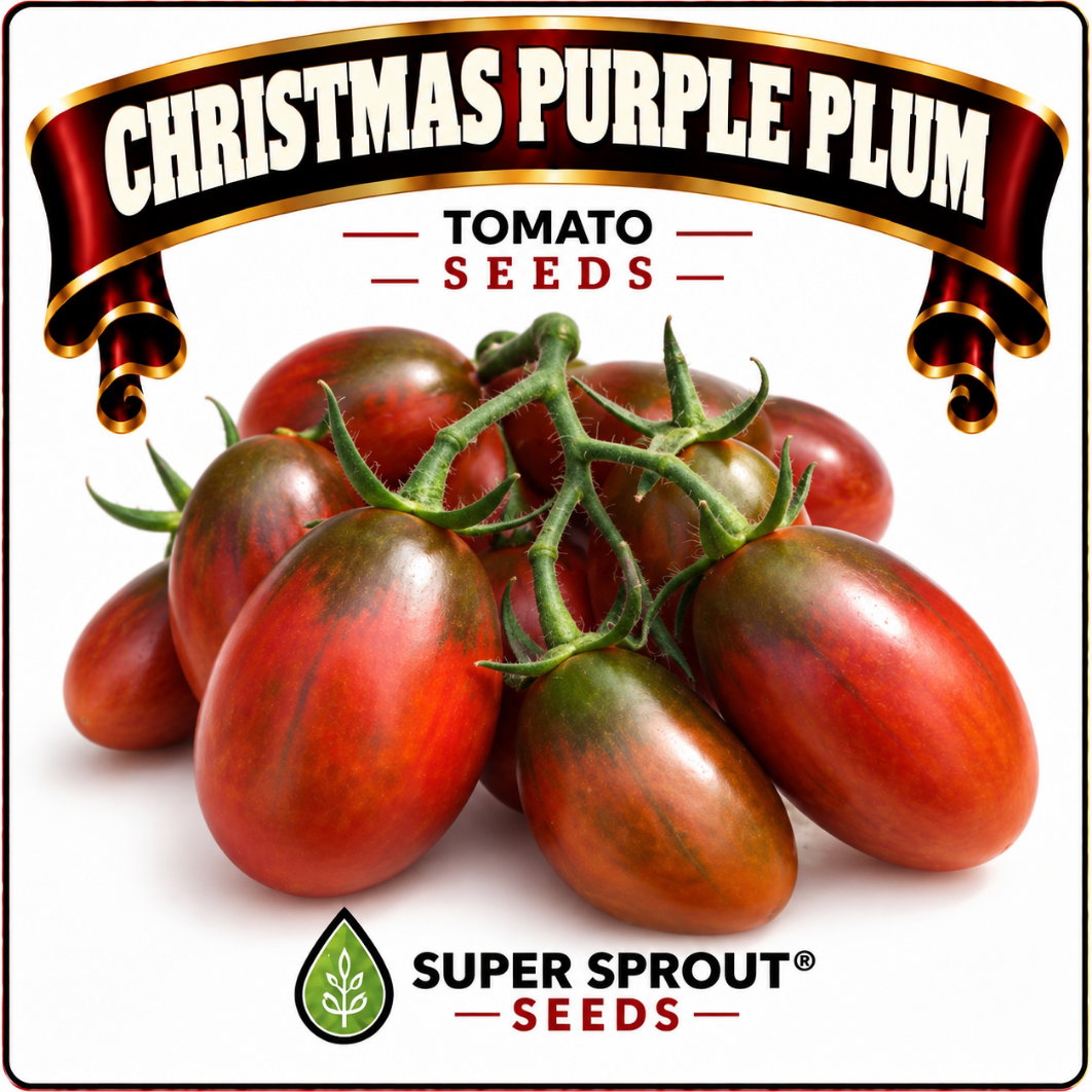 Springbok Tomato combo special x 9 packs_2