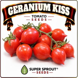 Springbok Tomato combo special x 9 packs
