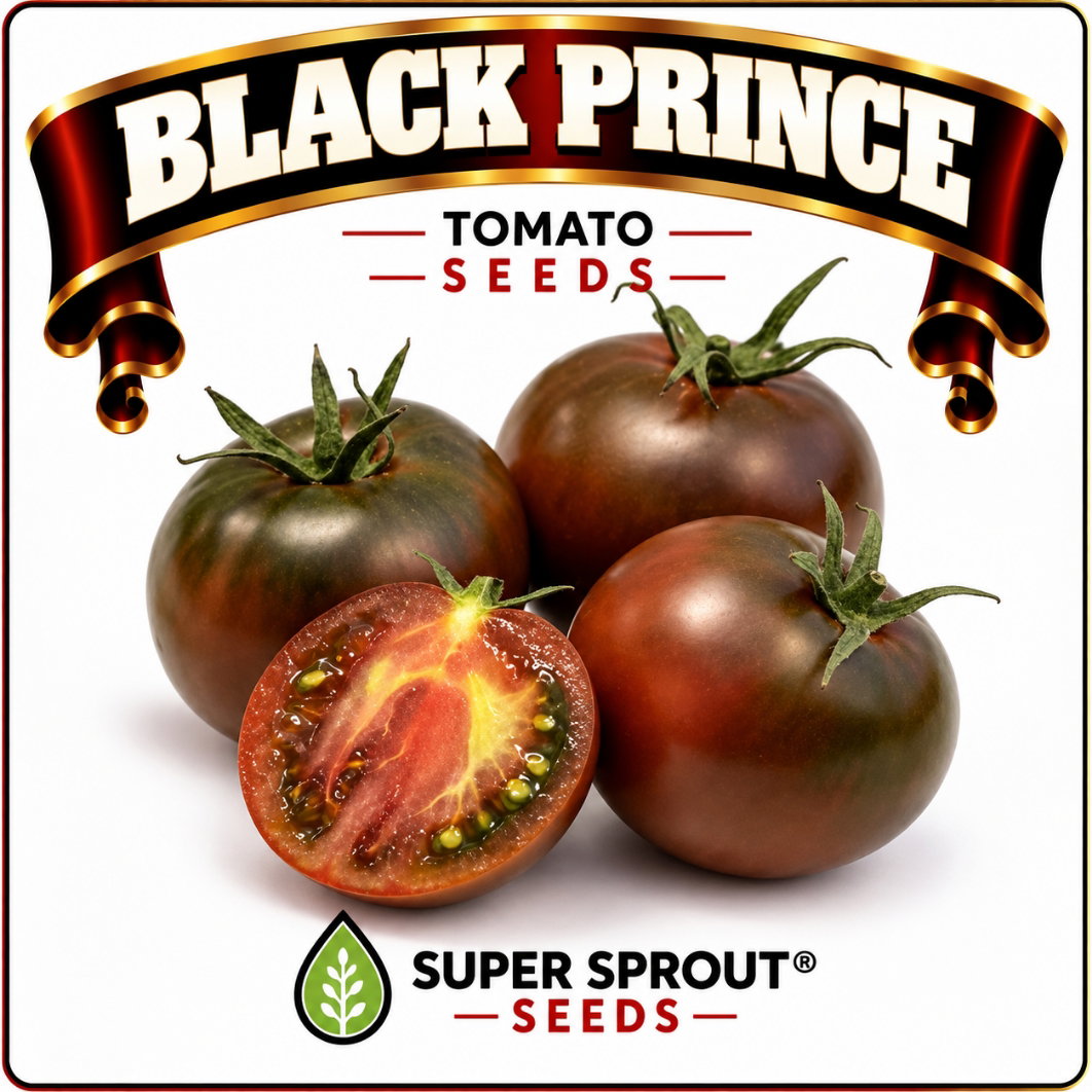 Springbok Tomato combo special x 9 packs_5