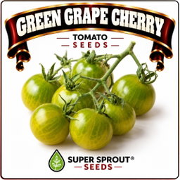 Springbok Tomato combo special x 9 packs