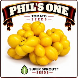 Springbok Tomato combo special x 9 packs