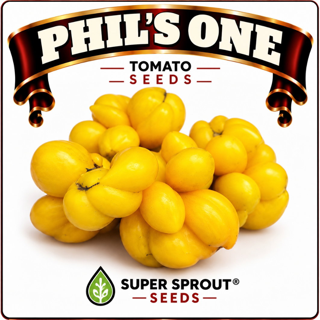 Springbok Tomato combo special x 9 packs_9