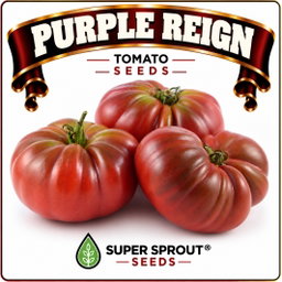 Springbok Tomato combo special x 9 packs
