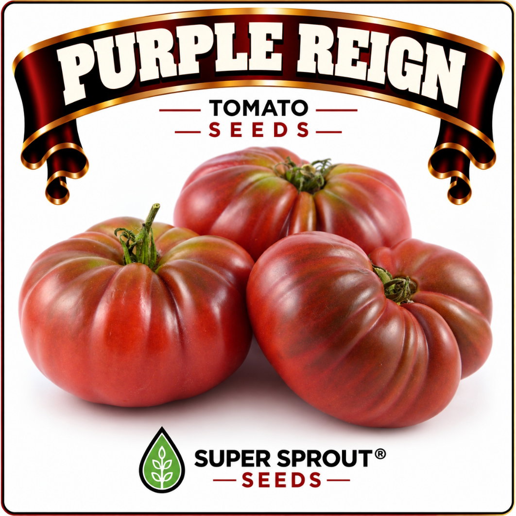 Springbok Tomato combo special x 9 packs_8