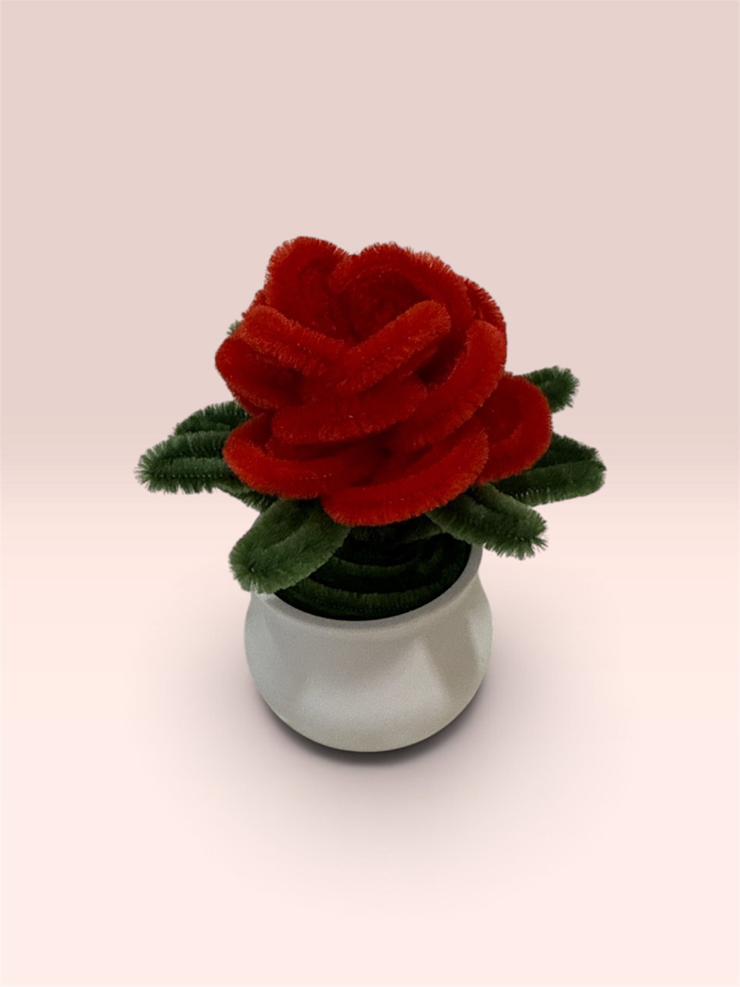 Red Rose in White Pot