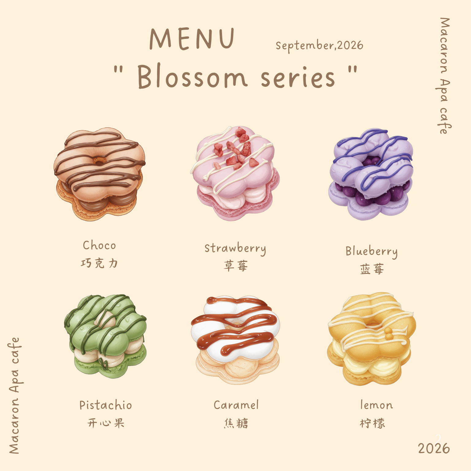 BLOSSOM SERIES -Macarons_0