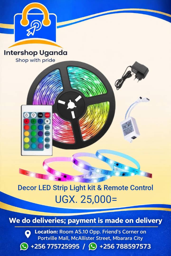 Decor Led Strip Light Kit & Remote_0