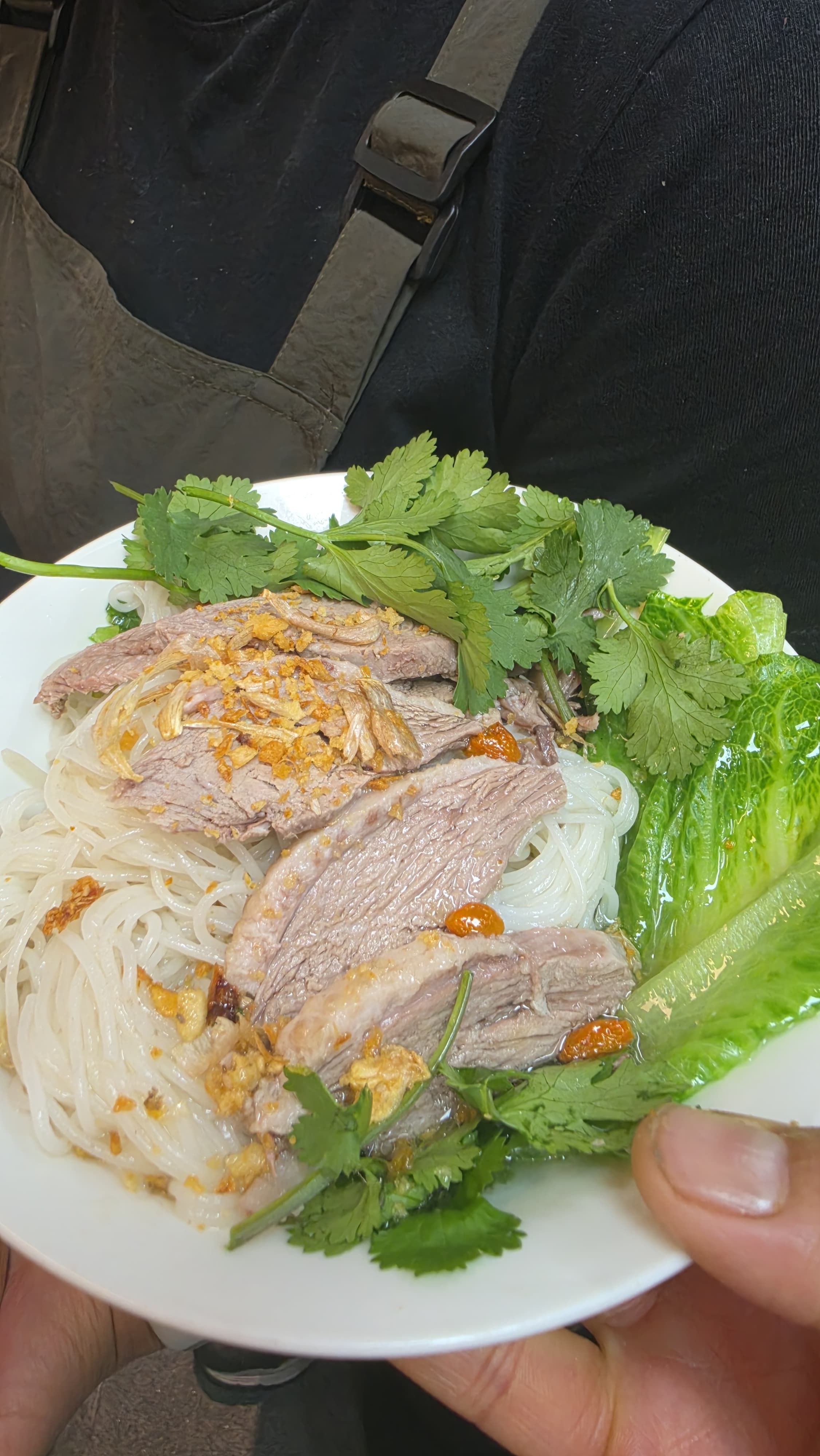 Bihun Bebek Medan - Herbal Duck + Rice vermicelli 
